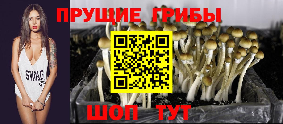 Галлюциногенные грибы мухоморы  Псилоцибиновые грибы Cubensis  Вход с VPN  Моздок 